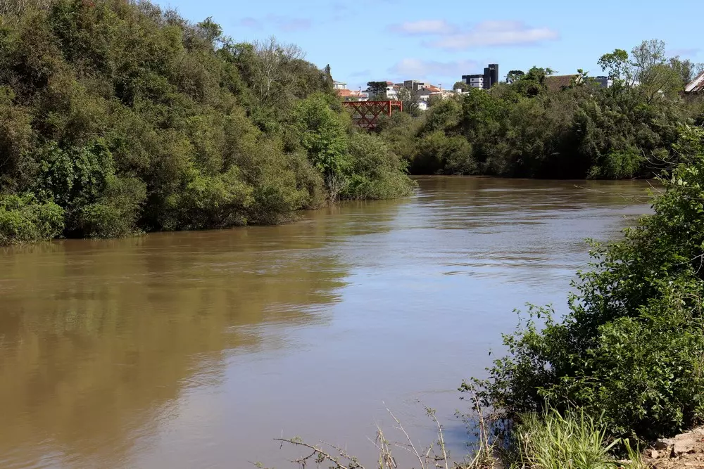 Mutirão de limpeza às margens do rio Negro será neste sábado (16)